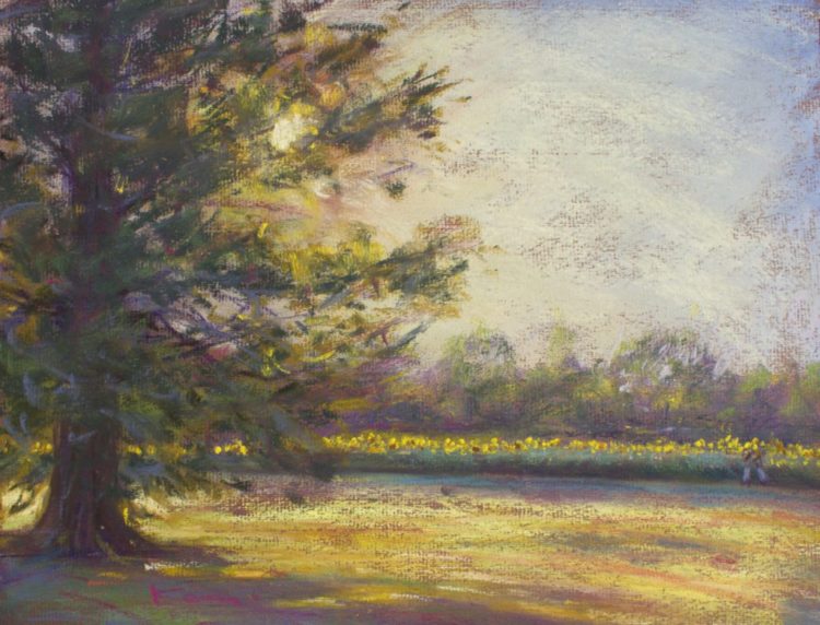 2024年　パステル